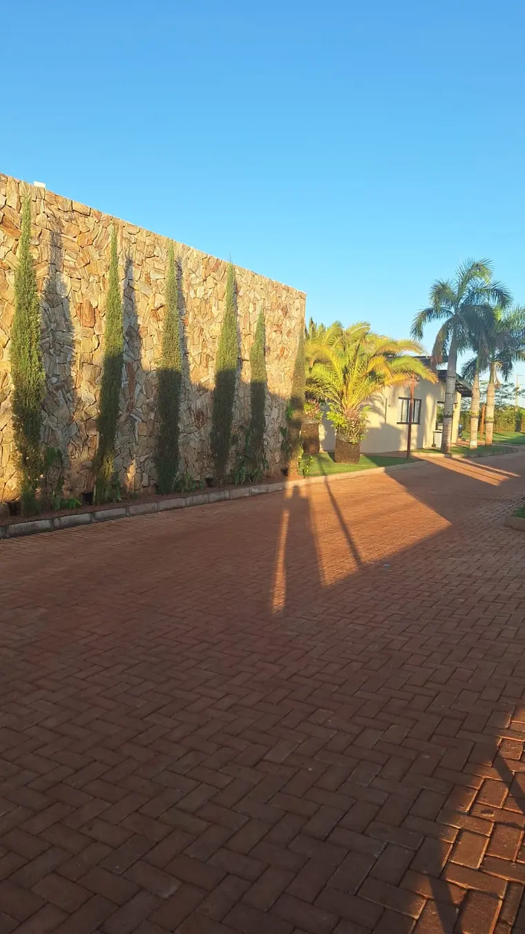 Alameda de condomínio com muro de pedra, trepadeiras e palmeiras