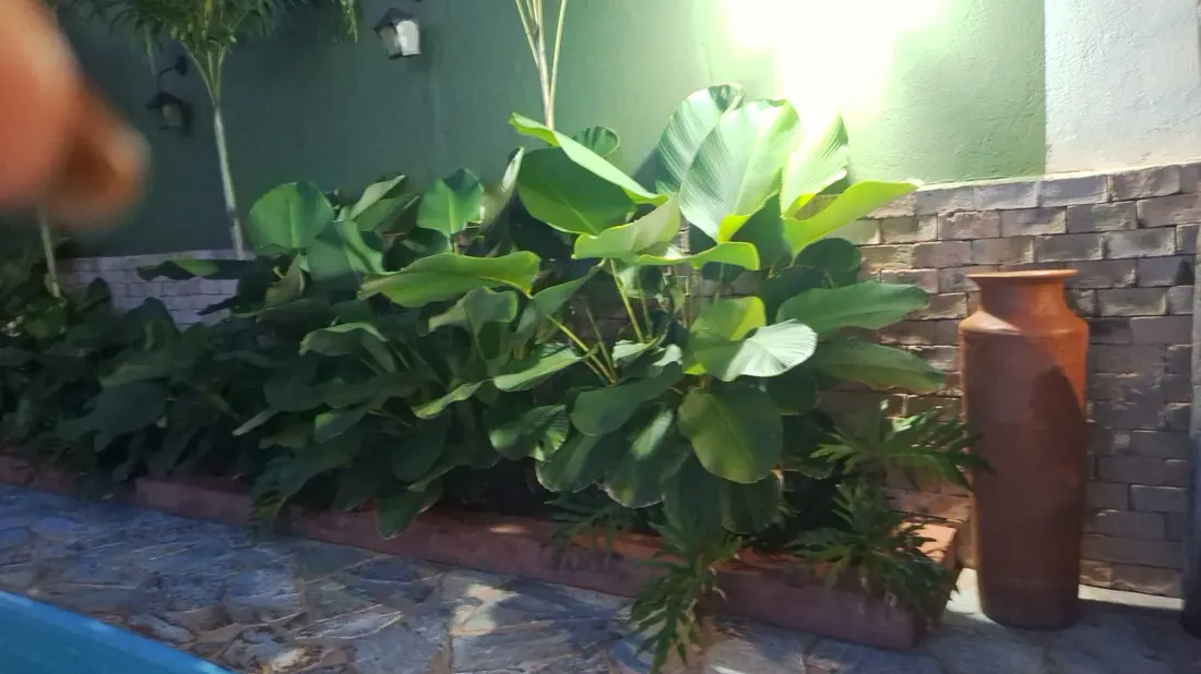 Canteiro com bananeiras e vasos de barro junto a muro de pedra