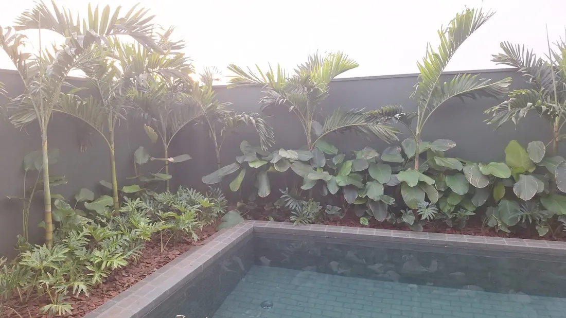 Piscina com canteiro elevado de palmeiras e folhagens ao redor