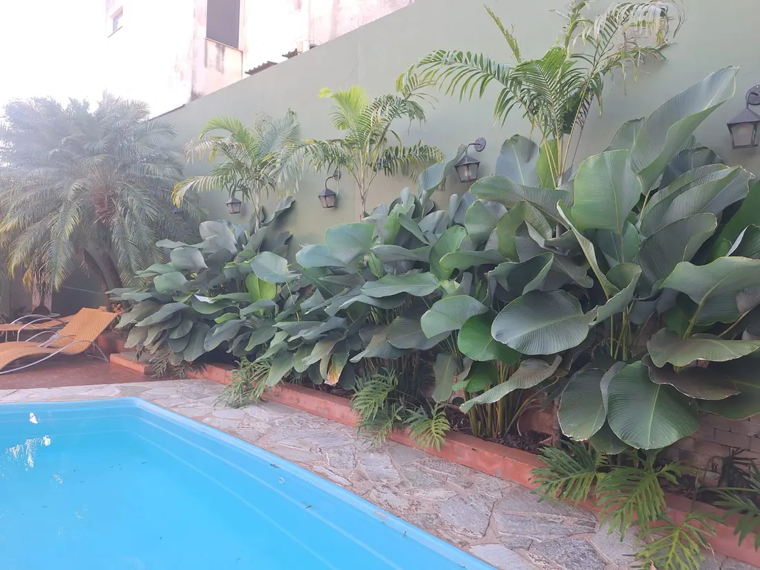 Área de piscina com canteiro de folhagens tropicais ao fundo